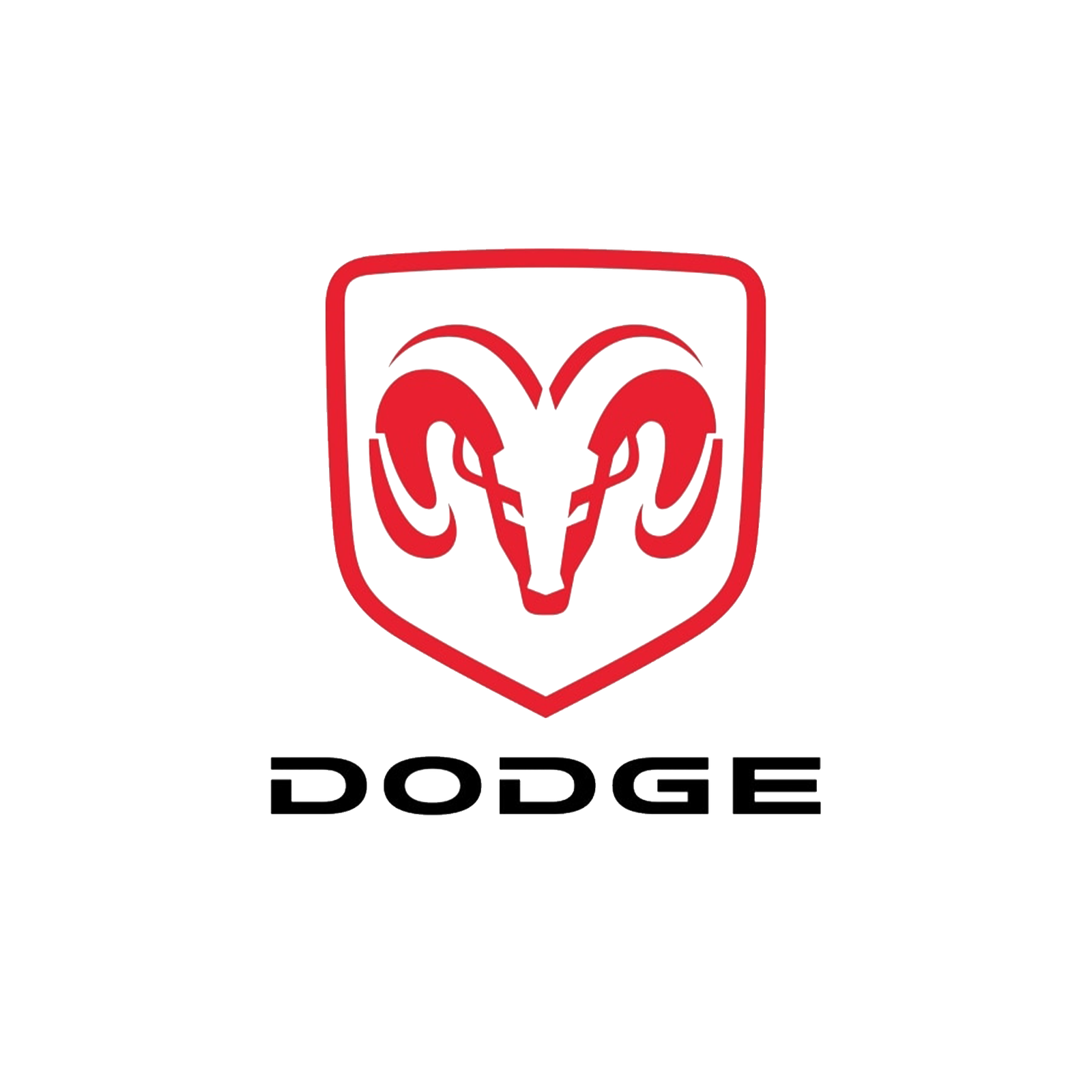 Logo 4